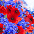 Poppy and Cornflower Flowers