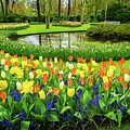 Spring Scenery