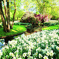 Spring in Park